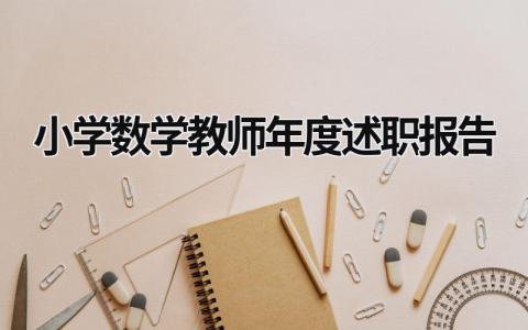 小学数学教师年度述职报告  (17篇）