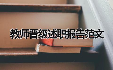 教师晋级述职报告范文 小学教师晋级述职报告范文 (13篇）