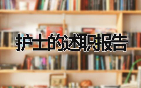 护士的述职报告 护士的述职报告范文PPT (17篇）