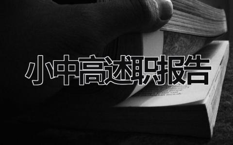 小中高述职报告  (20篇）