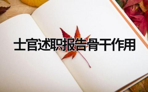 士官述职报告骨干作用 士官述职报告履行职责方面 (8篇）