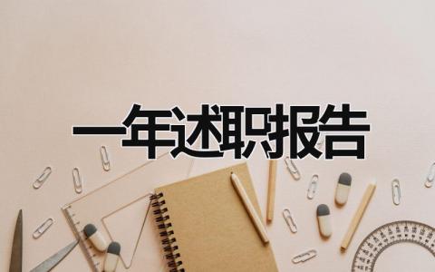 一年述职报告  (16篇）