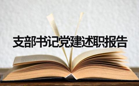 2023年支部书记党建述职报告 2023年党支部书记党建述职报告 (16篇）