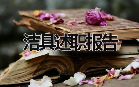 洁具述职报告 洁具年度总结 (13篇）