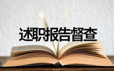 述职报告督查 述职报告督查怎么写 (18篇）