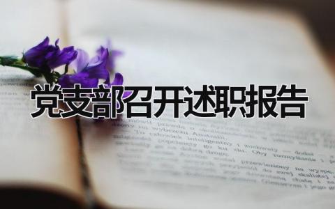 党支部召开述职报告 党支部召开述职报告 (16篇）