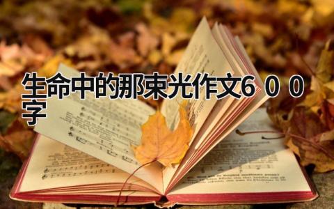 生命中的那束光作文600字