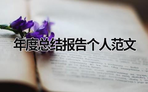 年度总结报告个人范文