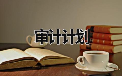 审计计划