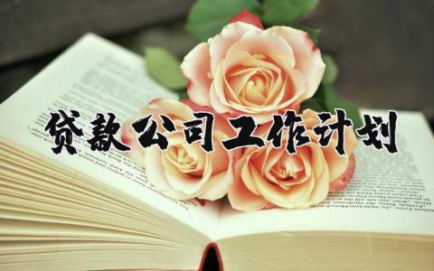 贷款公司工作计划 贷款公司工作计划和目标 14篇