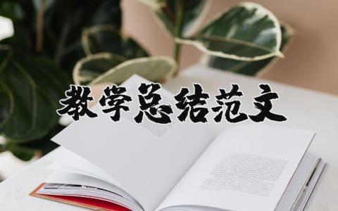 教学总结范文 教学总结范文500字 19篇