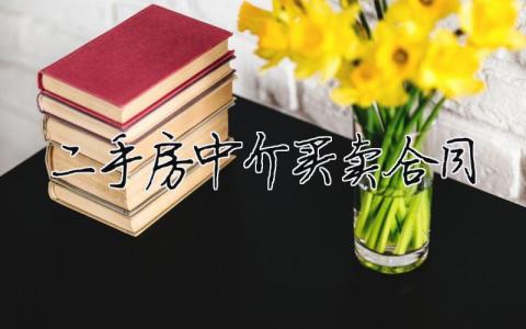 二手房中介买卖合同（范文模板精品6篇）